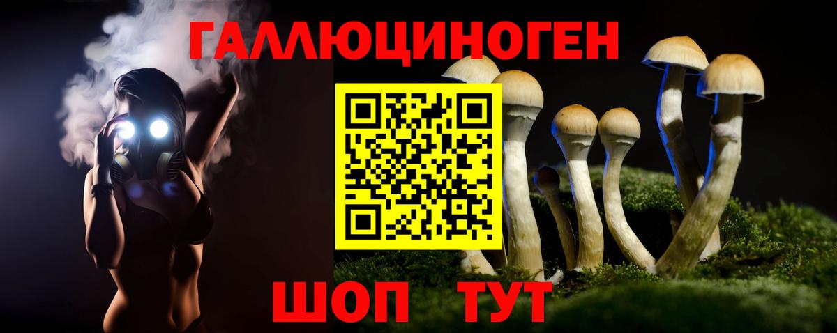 даркнет сайт  Галлюциногенные грибы ЛСД  Вход с VPN  Михайловск 